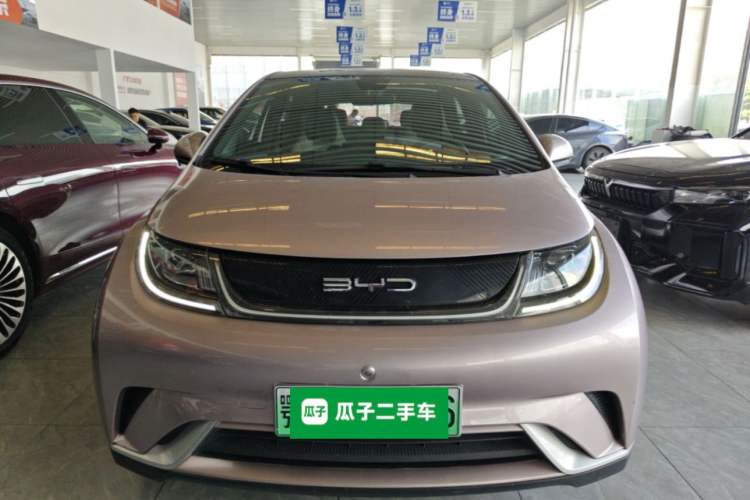 Used BYD Dolphin 2021 405 km Fashion Edition Front