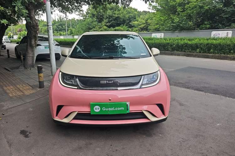 Used BYD Dolphin 2021 405 km Free Version Front