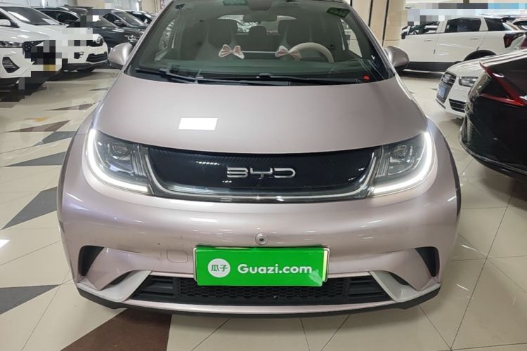 Used BYD Dolphin 2021 405 km Fashion Edition Front