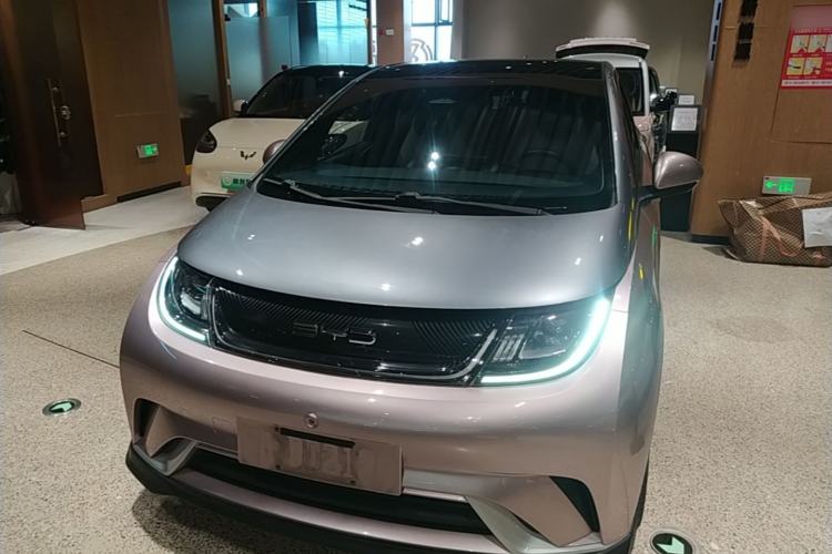 Used BYD Dolphin 2021 401km Knight Edition Front