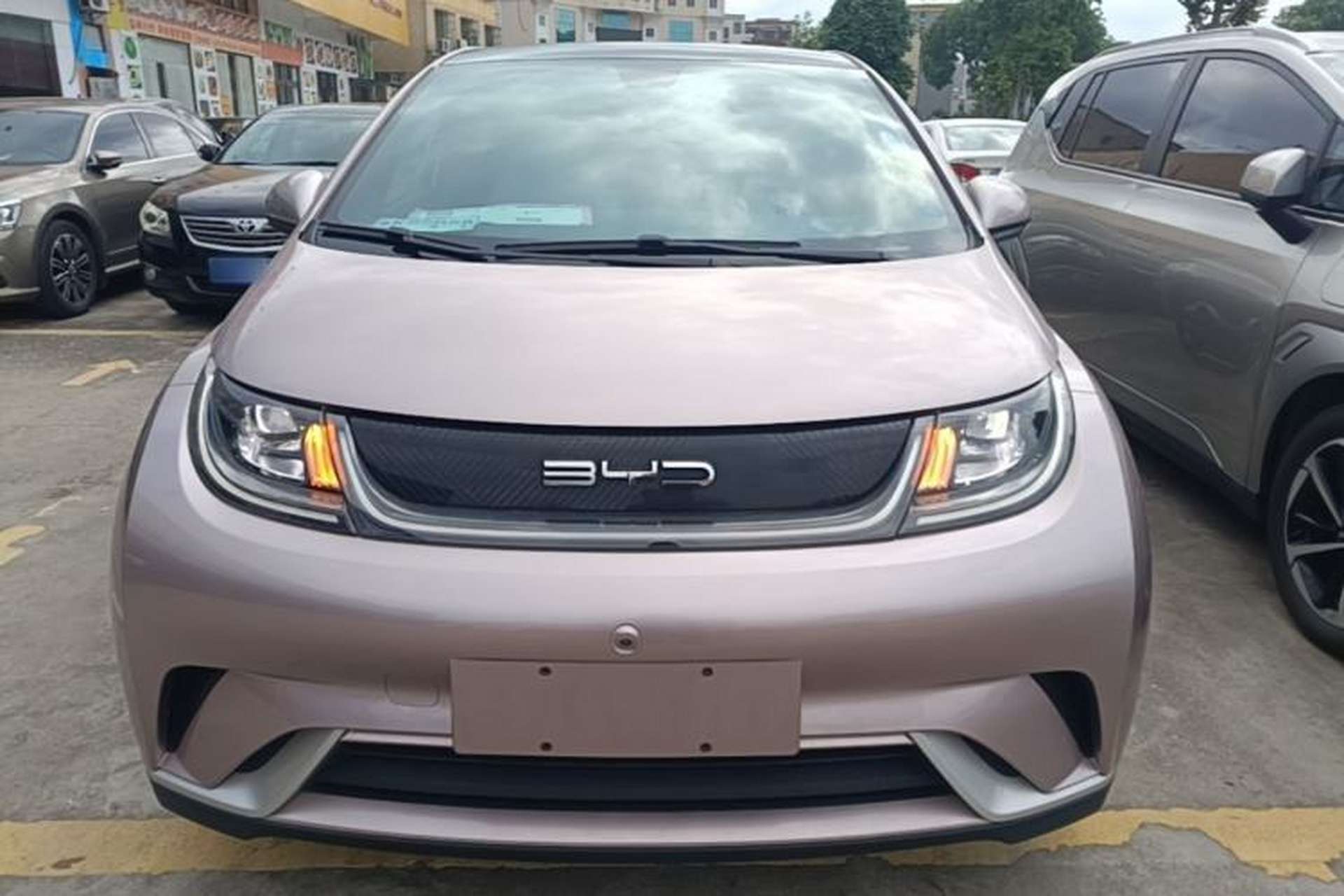 Used BYD Dolphin 2021 405 km Fashion Edition Front