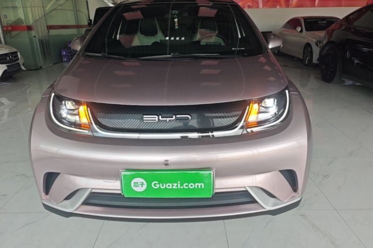 Used BYD Dolphin 2021 405 km Fashion Edition Front