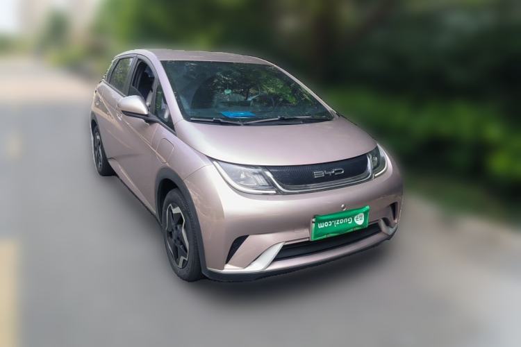 Used BYD Dolphin 2021 405 km Free Version Front Right 45 Deg