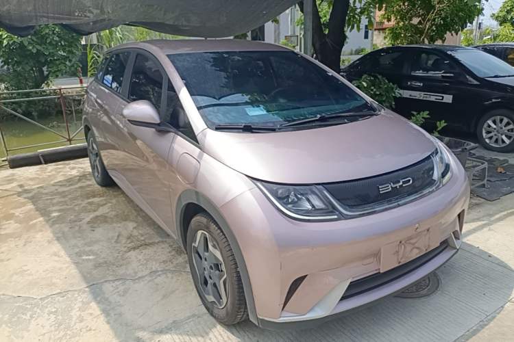 Used BYD Dolphin 2021 405 km Free Version Front Right 45 Deg
