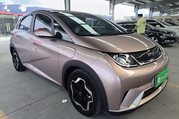 Used BYD Dolphin 2021 405 km Free Version Front Right 45 Deg