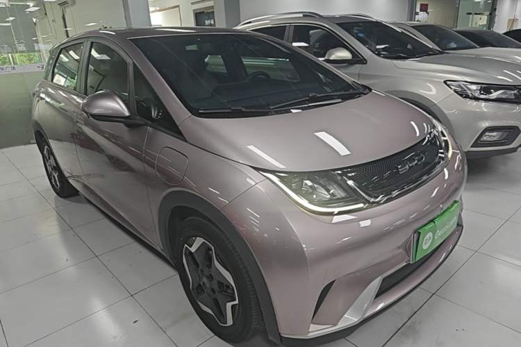 Used BYD Dolphin 2021 405 km Free Version Front Right 45 Deg
