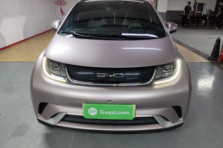 Used BYD Dolphin 2021 405 km Fashion Edition Front