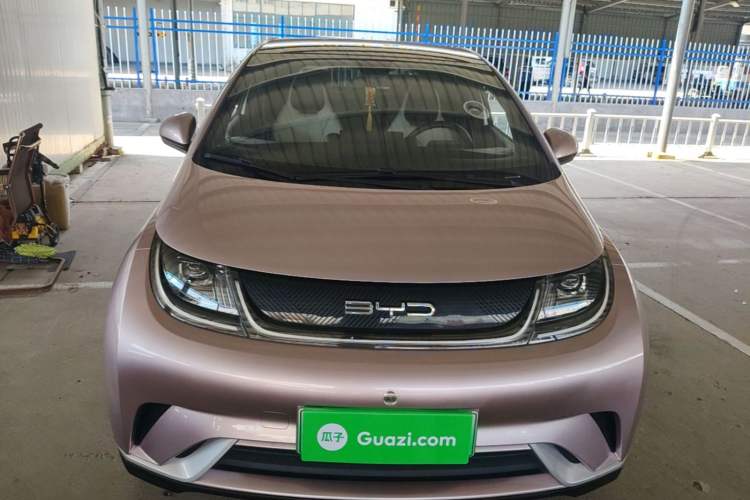 Used BYD Dolphin 2021 405 km Fashion Edition Front