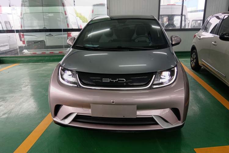 Used BYD Dolphin 2021 405 km Fashion Edition Front