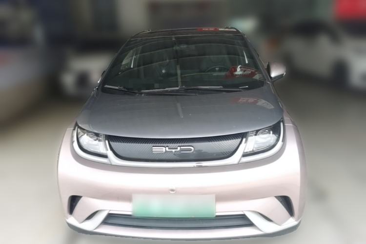 Used BYD Dolphin 2021 405 km Fashion Edition Front