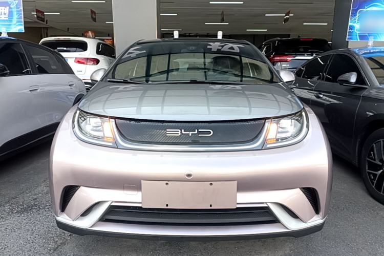 Used BYD Dolphin 2021 405 km Fashion Edition Front