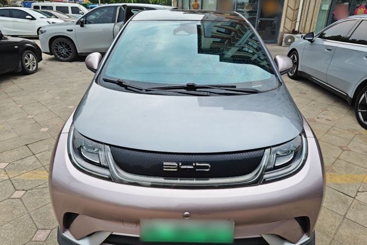 Used BYD Dolphin 2021 401km Knight Edition Front