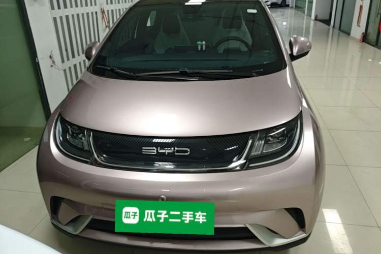 Used BYD Dolphin 2021 405 km Fashion Edition Front