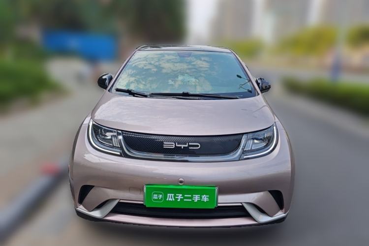 Used BYD Dolphin 2021 405 km Fashion Edition Front