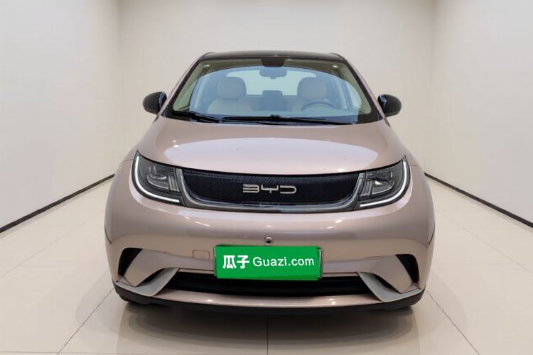 Used BYD Dolphin 2021 405 km Fashion Edition Front