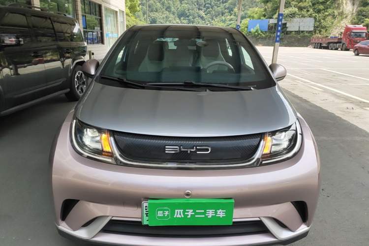 Used BYD Dolphin 2021 405 km Fashion Edition Front