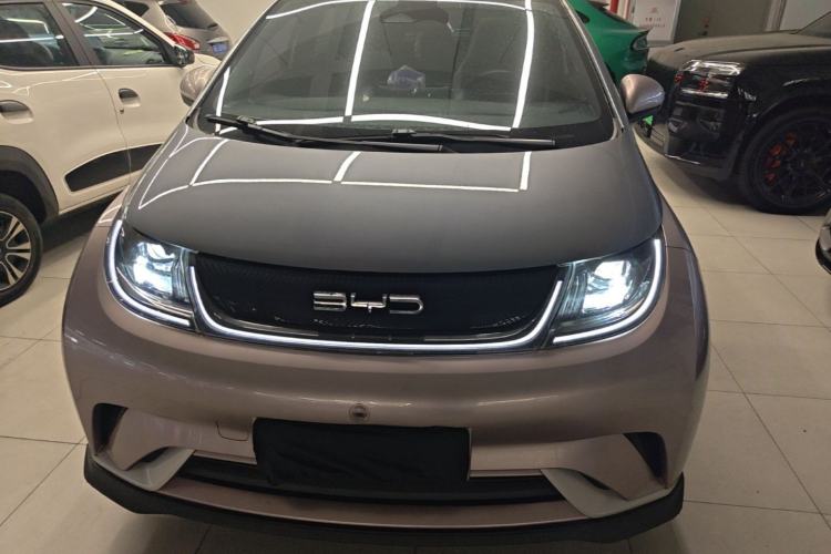 Used BYD Dolphin 2021 401km Knight Edition Front
