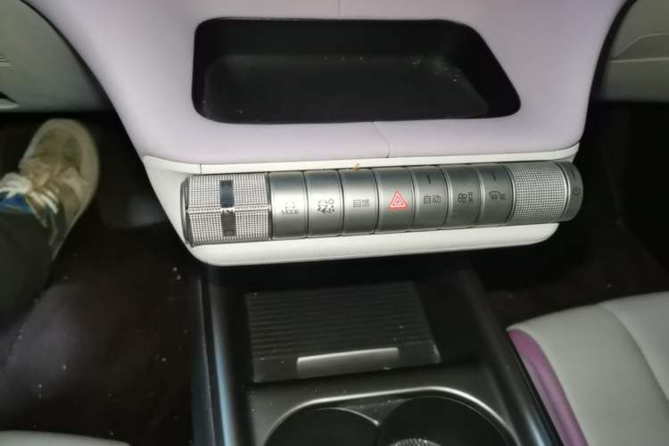 Used BYD Dolphin 2021 405 km Fashion Edition Gear Lever