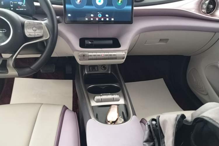 Used BYD Dolphin 2021 405 km Fashion Edition Gear Lever