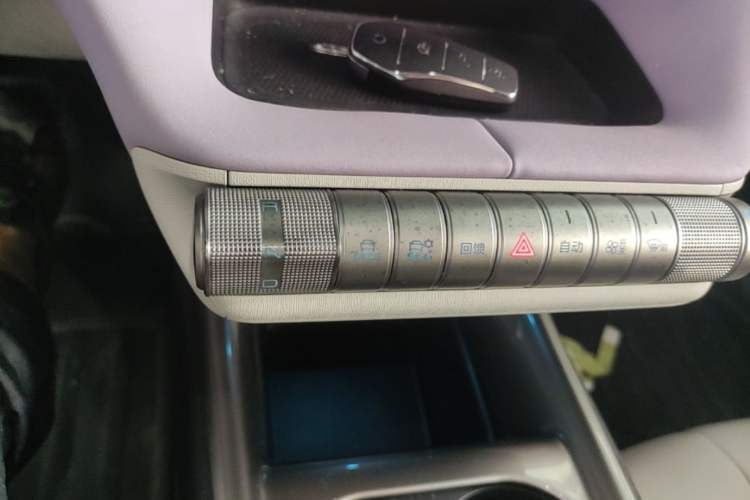 Used BYD Dolphin 2021 405 km Fashion Edition Gear Lever