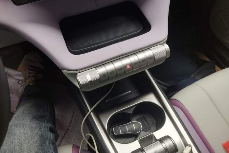 Used BYD Dolphin 2021 405 km Free Version Gear Lever