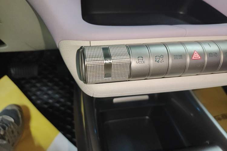 Used BYD Dolphin 2021 405 km Fashion Edition Gear Lever