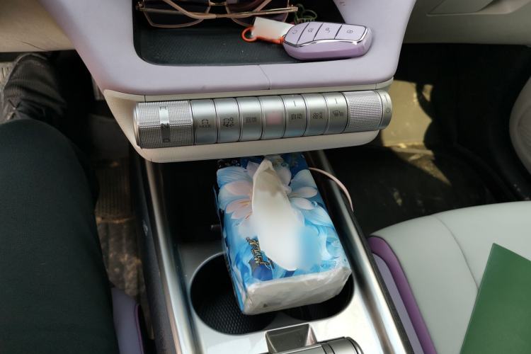 Used BYD Dolphin 2021 405 km Free Version Gear Lever