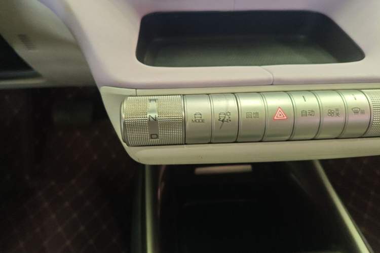 Used BYD Dolphin 2021 405 km Fashion Edition Gear Lever