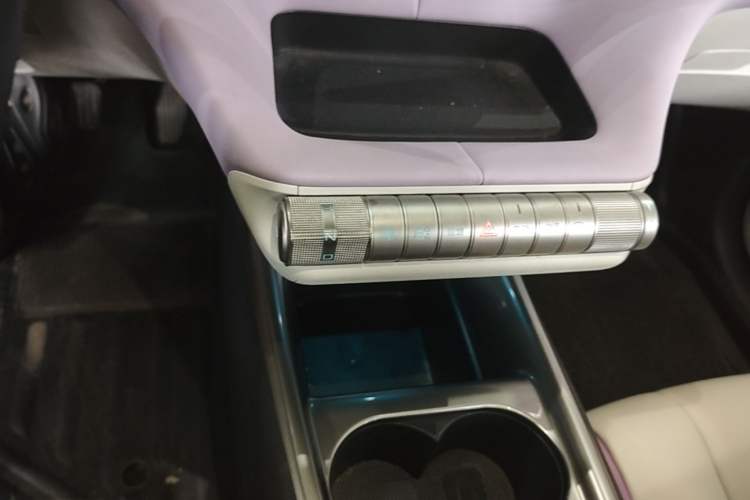 Used BYD Dolphin 2021 405 km Free Version Gear Lever