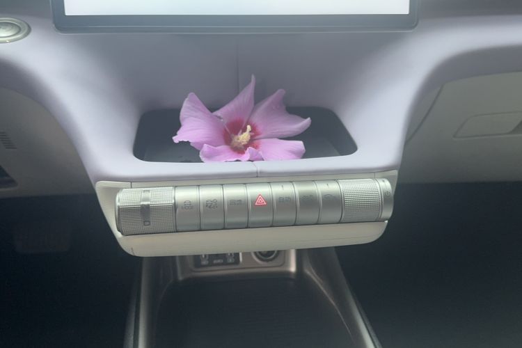Used BYD Dolphin 2021 405 km Fashion Edition Gear Lever