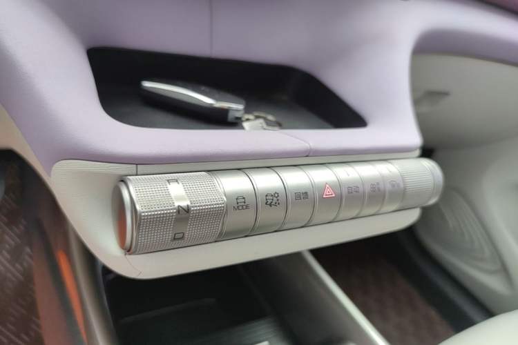 Used BYD Dolphin 2021 405 km Fashion Edition Gear Lever