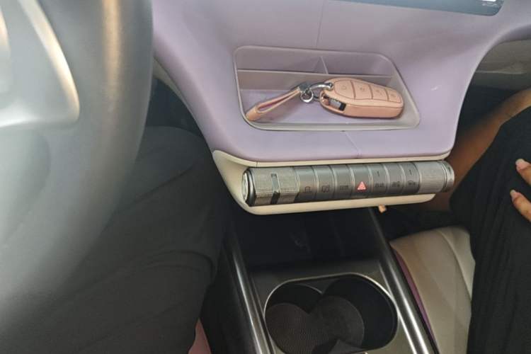 Used BYD Dolphin 2021 405 km Fashion Edition Gear Lever