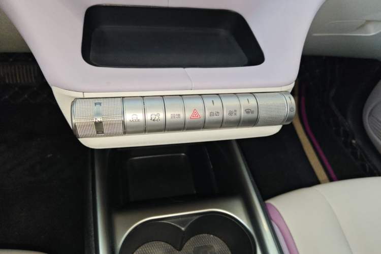 Used BYD Dolphin 2021 405 km Fashion Edition Gear Lever