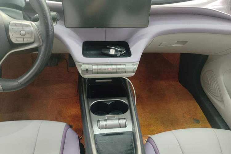 Used BYD Dolphin 2021 405 km Free Version Gear Lever