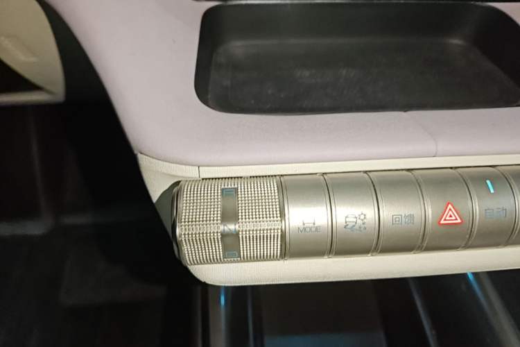 Used BYD Dolphin 2021 405 km Fashion Edition Gear Lever