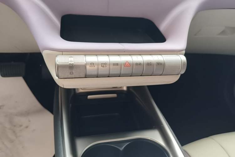 Used BYD Dolphin 2021 405 km Fashion Edition Gear Lever
