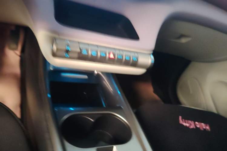 Used BYD Dolphin 2021 405 km Fashion Edition Gear Lever