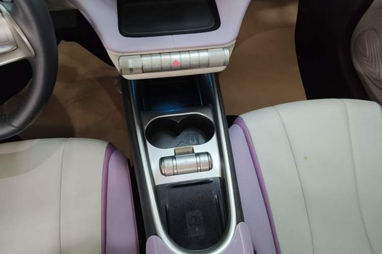 Used BYD Dolphin 2021 405 km Free Version Gear Lever