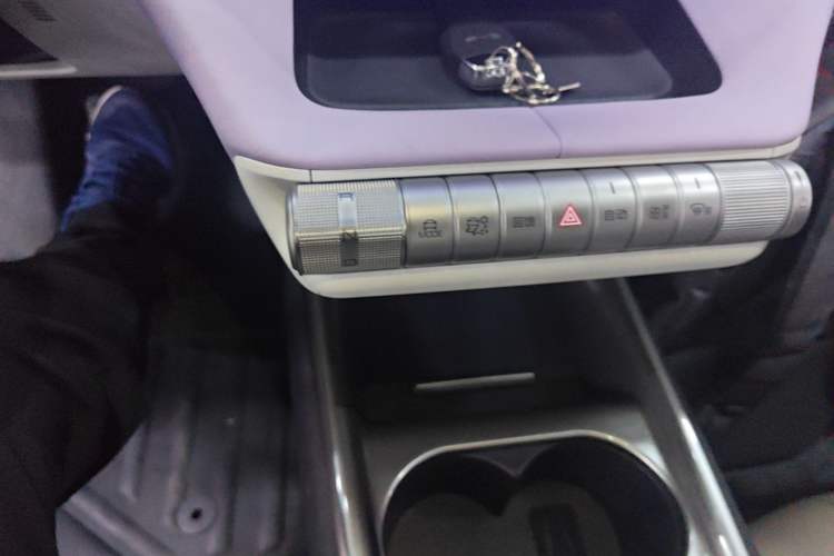Used BYD Dolphin 2021 405 km Fashion Edition Gear Lever