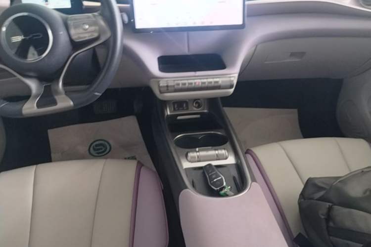 Used BYD Dolphin 2021 405 km Fashion Edition Gear Lever