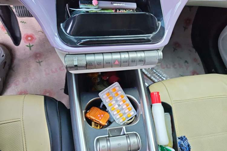 Used BYD Dolphin 2021 405 km Fashion Edition Gear Lever
