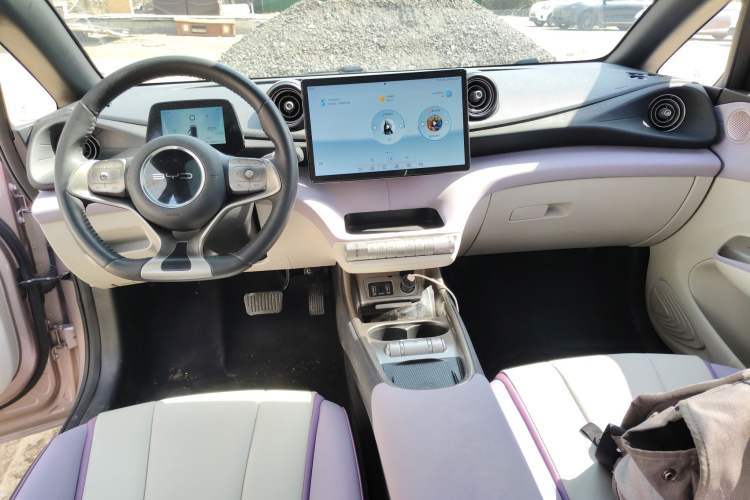 Used BYD Dolphin 2021 405 km Fashion Edition Center Console