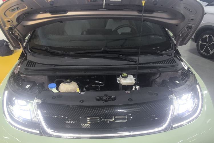 Used BYD Dolphin 2021 405 km Fashion Edition Engine Bay