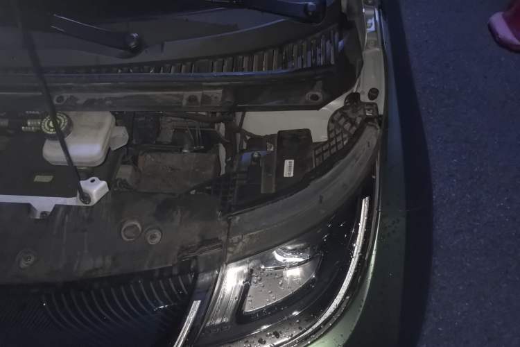 Used BYD Dolphin 2021 405 km Free Version Engine Bay Left