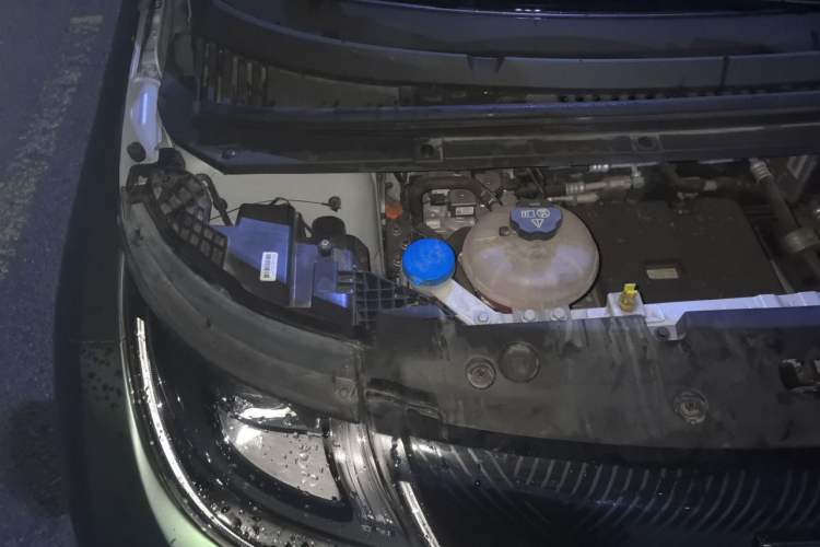 Used BYD Dolphin 2021 405 km Free Version Engine Bay Right