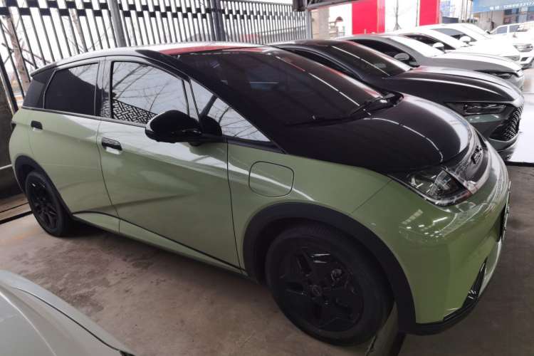Used BYD Dolphin 2021 405 km Fashion Edition Exterior 2