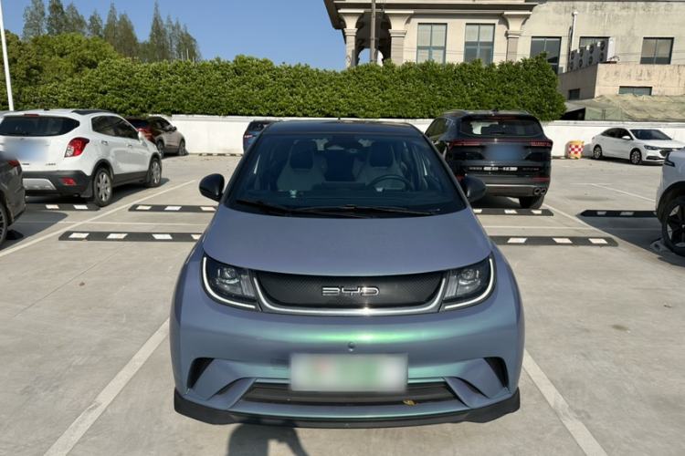 Used BYD Dolphin 2021 401km Knight Edition Exterior 5