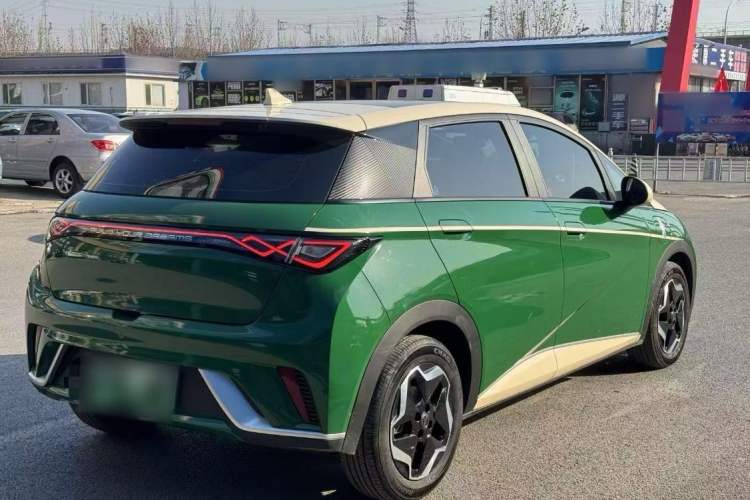 Used BYD Dolphin 2021 405 km Fashion Edition Exterior 5