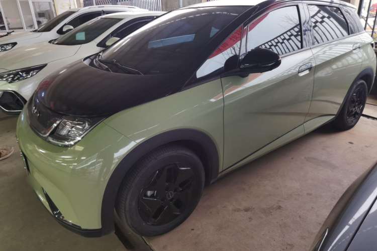Used BYD Dolphin 2021 405 km Fashion Edition Exterior 5