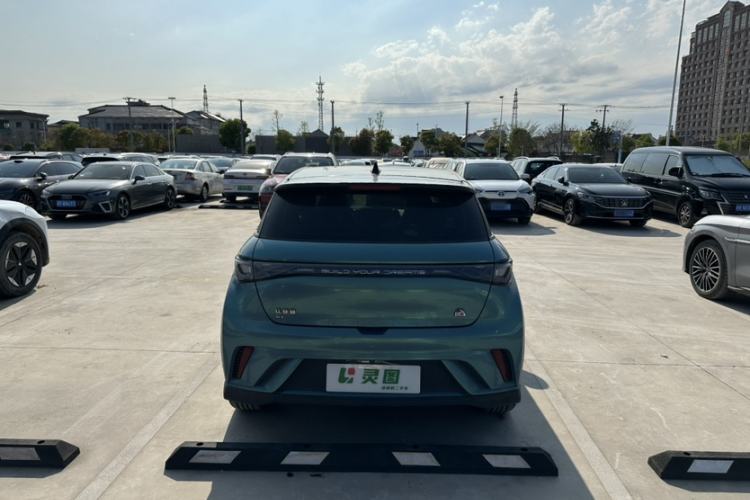 Used BYD Dolphin 2021 401km Knight Edition Exterior 6